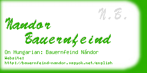 nandor bauernfeind business card